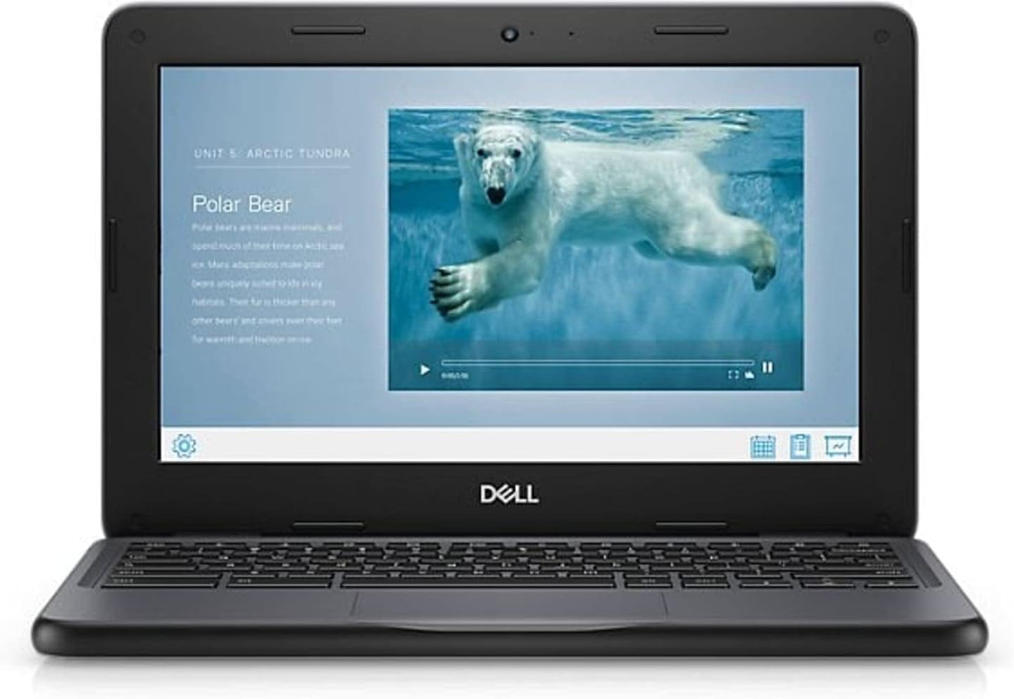 Dell Chromebook 3100 Laptop (2019) | 11.6" HD | Core Celeron - 16GB SSD - 4GB RAM | 2 Cores Chrome OS