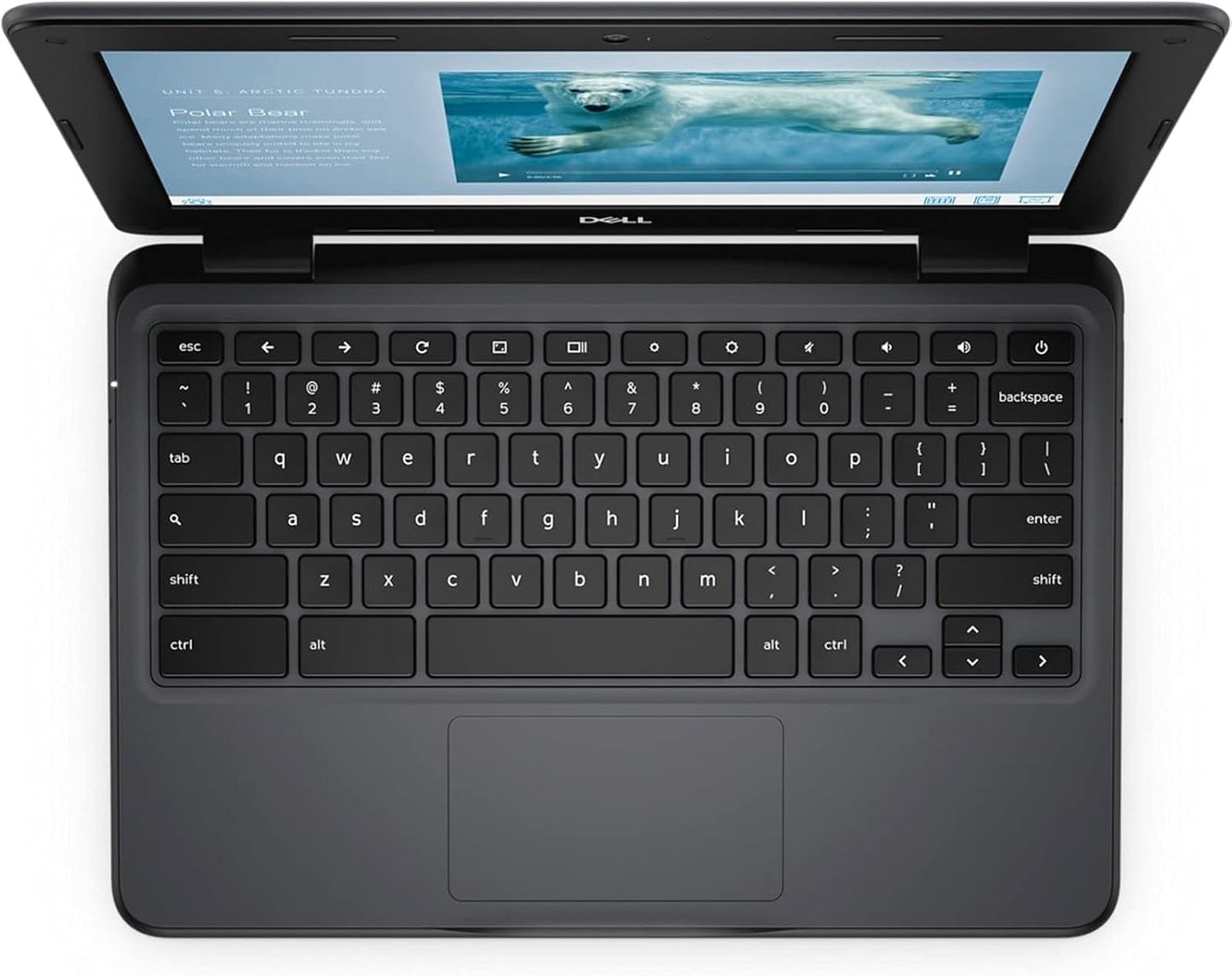 Dell Chromebook 3100 Laptop (2019) | 11.6" HD | Core Celeron - 16GB SSD - 4GB RAM | 2 Cores Chrome OS